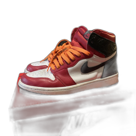 Jordan 1 satin snake