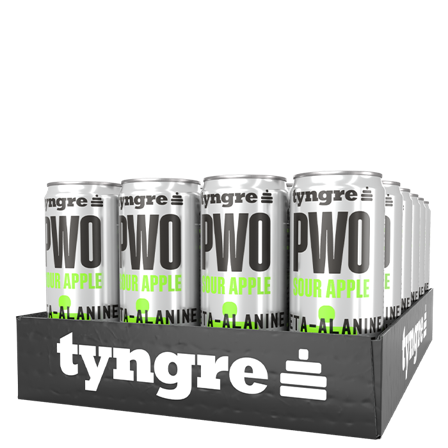 24 x Tyngre PWO 250 ml