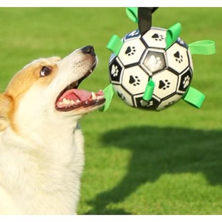 Uforgængelig Hundebold Uforgængelig Hundebold Interaktiv Hund