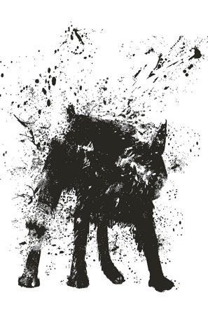 Pelcasa - Juliste Wet Dog - Valkoinen - Julisteet - - Homeroom