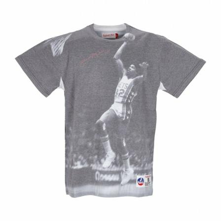 Mitchell & Ness T-Shirts Grå, Herre