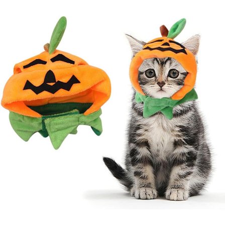 Halloweenkostym för katt och hund - Pumpahuvudbonad och set med mössa för valp- och kattungecosplay Pumpablad