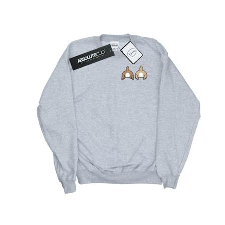Disney Boys Chip N Dale Bakre Brösttryck Sweatshirt 9-11 År Sports Grey 9-11 Years