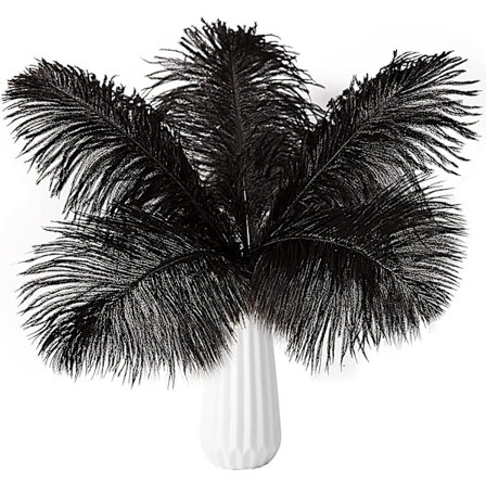 10 st strutsfjädrar naturlig bulk