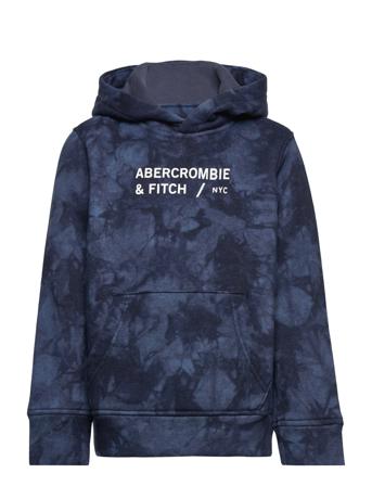 Kids Boys Sweatshirts Huppari Monivärinen/Kuvioitu Abercrombie & Fitch