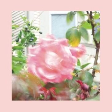 Summer at land s end PINKS AND PURP REDS