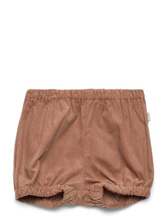 Shorts Ashton Brown Wheat