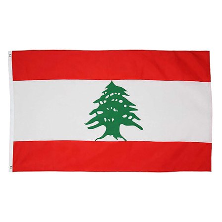 Libanon Flag Libanesis Polyester Flag Have 3x5FT Banner 90x150cm (FMY)