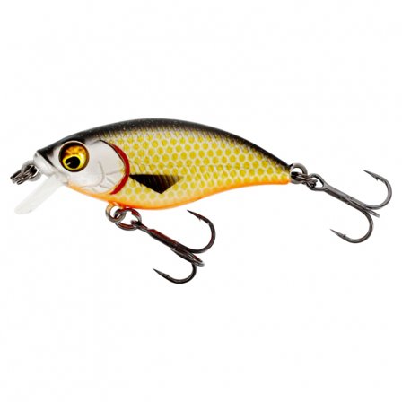 Westin BuzzBite SR Crankbait 5cm 6g Low Floating - Official Roach