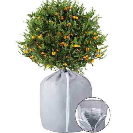 Plantebeskyttelse til vinteren – Frostbeskyttelse med snøre og lynlås til udendørs planter, frugttræer og potteplanter