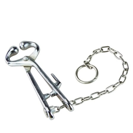 Lehmän Nenäpihdit Ruostumaton Teräs Härkä Karja Nenärenkaiden Pihdit Bovi