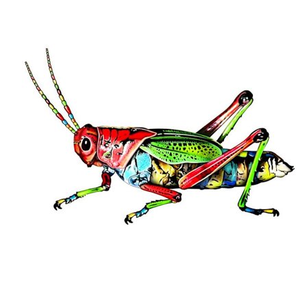 Beetle Väggdekoration Hemhantverk E E