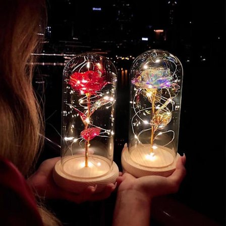 Lysende Evighetsrose Rose Glasskuppel Glass