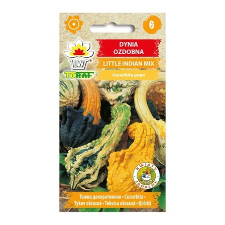 Frö till prydnadspumpa Little Indian Mix – Färgsprakande små dekorativa pumpor