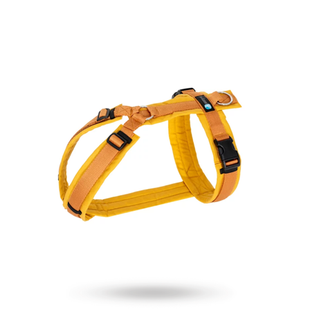 Anny-X - Anny-X Fun Hundsele Forsythia - Hundsele