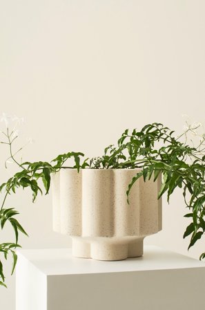 Jotex - Potte Naturhvit - SIGFRID - Kjøp Krukker hos Jotex