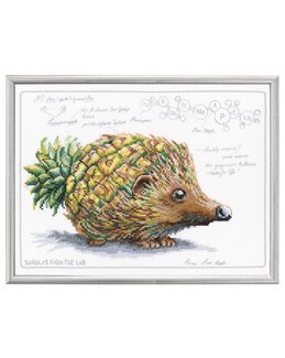 Stickpackung Bild Igel