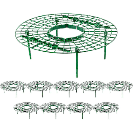 10-pakning jordbærstøtter med 4 solide ben for å holde planten ren og unngå råte i regnværsdager