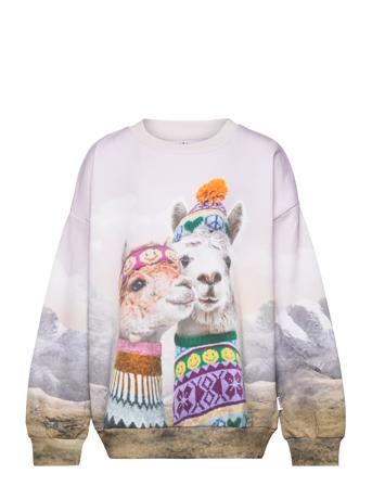 Maxi Sweat-shirt Genser Multi/mønstret Molo*Betinget Tilbud