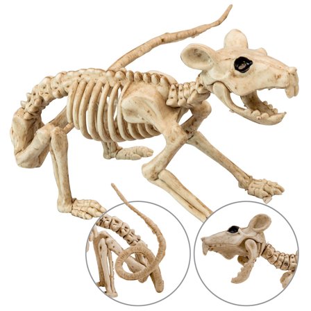 Råtta Skelett Dekoration