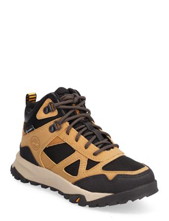 Lincoln Peak Mid Wp Höga Sneakers Multi/mönstrad Timberland