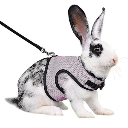 Kaninvaljaas Mukava Säädettävä Vetotyökalu Ferretti Rotat Pehmeä Verkkokangasvaljaat Hihna Liivisetti Lemmikkieläinten Tarvikkeet