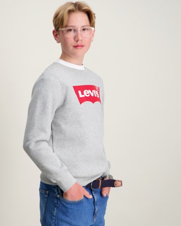 Levi's LVB BATWING CREWNECK Grijs Truien Jongens - Kids Brand Store