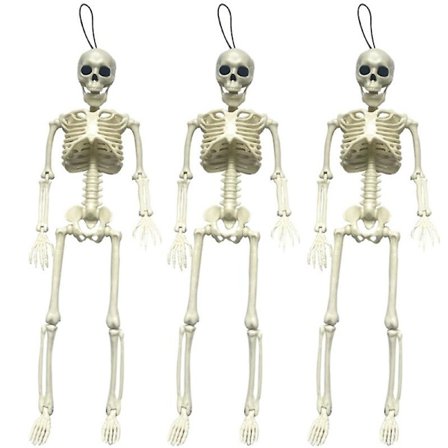 3 st 40 cm Poserbara Halloween Full Body Skelettrekvisita Realistiska Mänskliga Ben Med Rörliga Leder För Halloweenfestdekoration