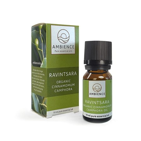 Ambience Kamfertræ Olie (Ravintsara) Økologisk 10 ml, Tøj & Bolig, Duftolier, Æteriske Olier