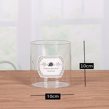 Cylindervaser Glasvase 10*10CM 10*10CM