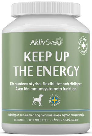 AktivSvea Keep Up the Energy 100 tabletter