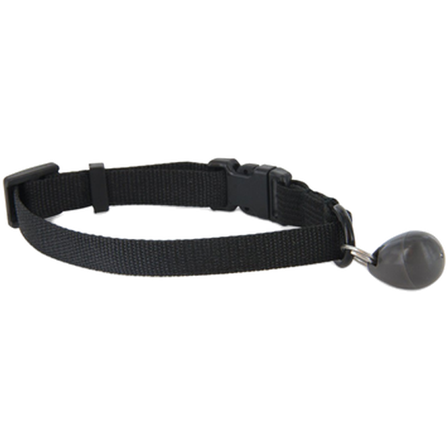 Petsafe - Staywell erstatningsnøkkel til magnetisk halsbånd - Katt - Kattesikkerhet & dører - Katteluker & kattedører - ZOO.no