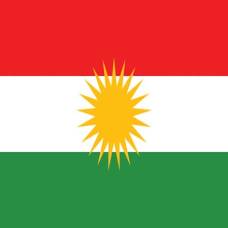 Flagg - Kurdistan 100