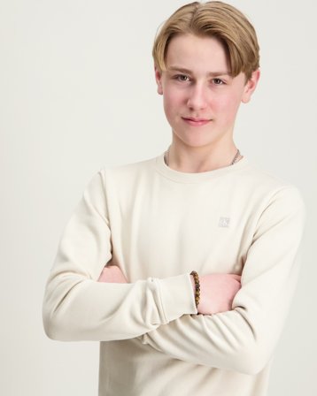 Calvin Klein MINI BADGE REG CN Grijs T-shirts Jongens - Kids Brand Store