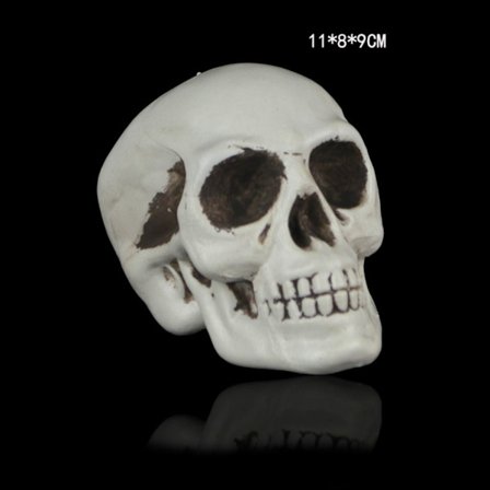 Skull Head Skull Decor 7 7