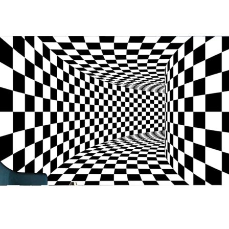 Svart Hvit Rutete 3D Gulvteppe Matte for Barnerom Barnehage