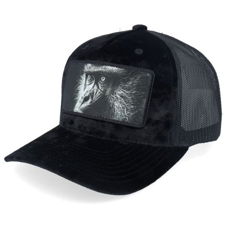 Calza Pennello - Svart trucker Keps - Monkey Big Patch Velvet Black Trucker @ Hatstore