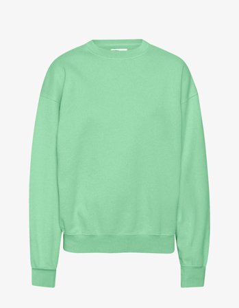 Organic Oversized Crew - Faded Mint - XS