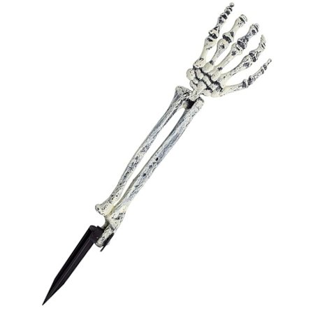 Koriste kasvin luurankovarsiin 47 cm