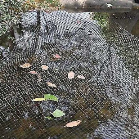 [CA] Dækningsnet til havedam 4 x 6 m Dækningsnet til fiskedam Finmasket net BY