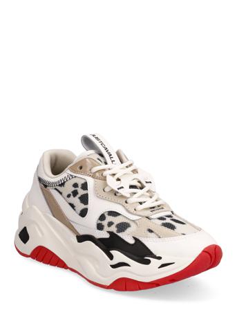 Sneakers Low-top Sneakers Multi/mønstret Just Cavalli