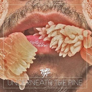 Underneath the pine (10th anniversary) Toro Y Moi