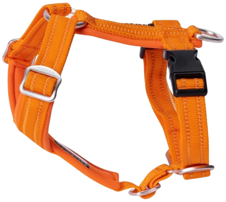 PAIKKA Easy Harness S-L Orange - Promenad & Vardagsmotion