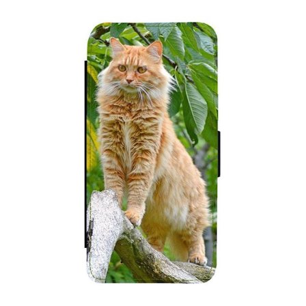Katt Maine Coon iPhone 16 Flip Mobilfodral