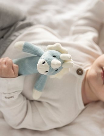 Teddykompaniet Diinglisar, Rattle, Dino, Teal - Blue - 14 CM