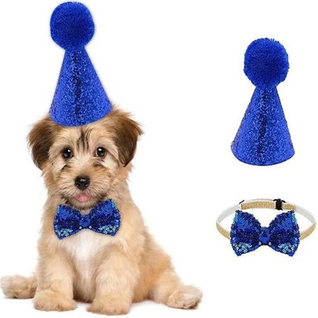 Fødselsdagshat til kæledyr, hunde- og kattehat med butterfly, kæledyr, kat, hund fødselsdag