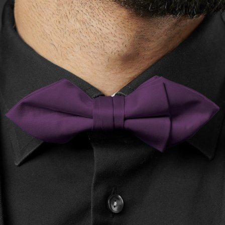Dark Purple Basic Pointy Pre-Tied Bow Tie for Men - Pre-tied bow ties