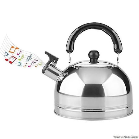 3L Hvisetende Kedel i Rustfrit Stål til Gasskomfur Bouilloire