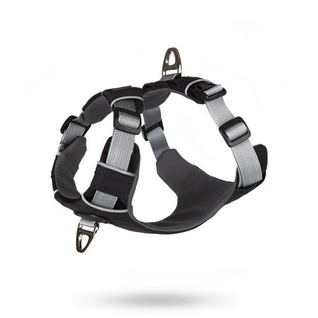 DOG REVOLUTION - Safe-Walk Pro - Svart Hundsele