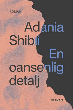 En oansenlig detalj - Bok av Adania Shibli - Inbunden